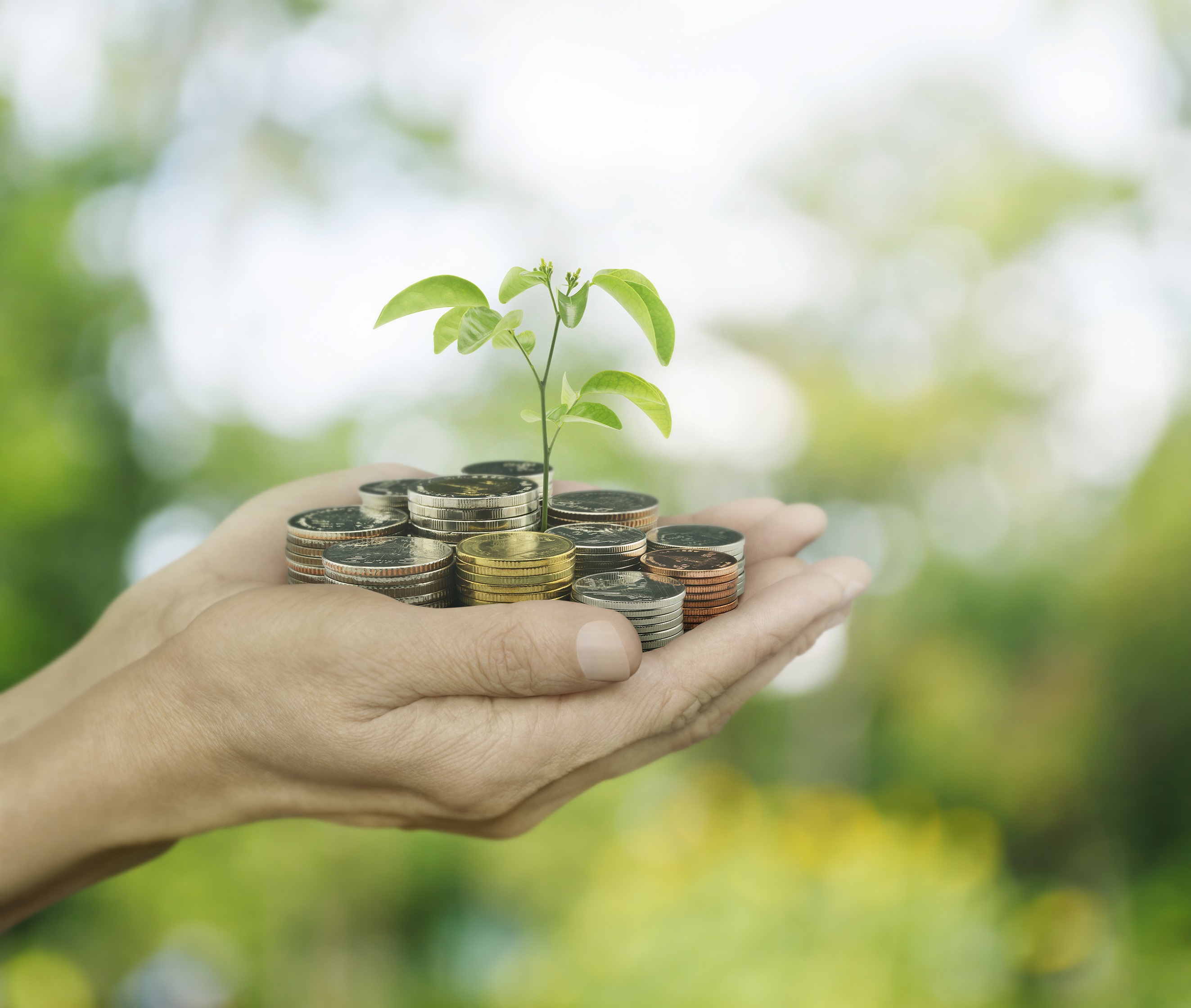 Philanthropic Services